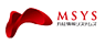 MSYS