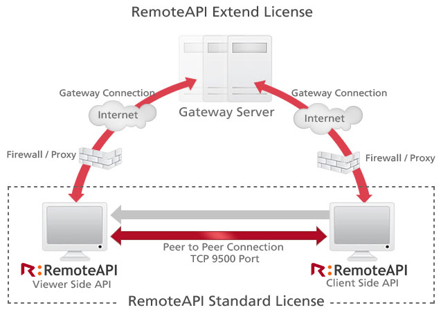 RemoteAPI許可證